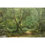 R Mont? (19th century): oil on board, dense forest, indistinctly signed, 30 x 22 cm. Not available