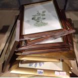 Quantity of framed pictures and photo frames (16). Not available for in-house P&P