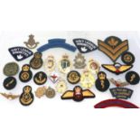 Thirty Canadian military badges and uniform patches. P&P Group 1 (£14+VAT for the first lot and £1+