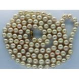 Pearl single strand necklace with 14ct gold clasp, L: 90 cm. P&P Group 1 (£14+VAT for the first