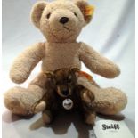 Two Steiff bears to include My First Steiff, H: 24 cm and Classic Steiff, jointed arms and legs,