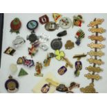 Collection of mixed enamel badges and cap badges including a Civil Defence Instructor cap badge.
