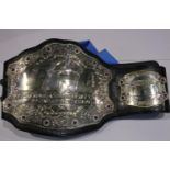 Replica UFC prize belt with zip cover. UK P&P Group 2 (£20+VAT for the first lot and £4+VAT for