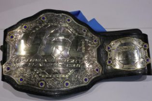 Replica UFC prize belt with zip cover. UK P&P Group 2 (£20+VAT for the first lot and £4+VAT for