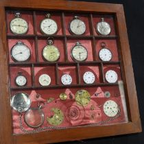 Mahogany display case containing pocket watches and parts, 36 x 36 cm. UK P&P Group 2 (£20+VAT for