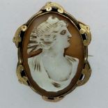 Pinchbeck mounted shell cameo brooch, 30 x 40 mm. UK P&P Group 1 (£16+VAT for the first lot and £2+