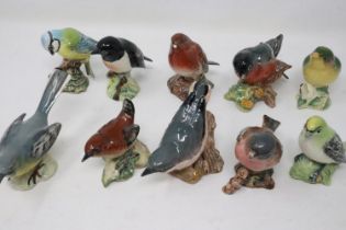Ten Beswick garden birds, one with losses to beak, largest H: 90 mm. UK P&P Group 2 (£18+VAT for the
