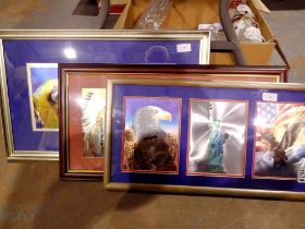 Three framed sets of American Indian pictures. Not available for in-house P&P