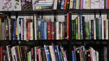 Three shelves of travel and history related books. Not available for in-house P&P