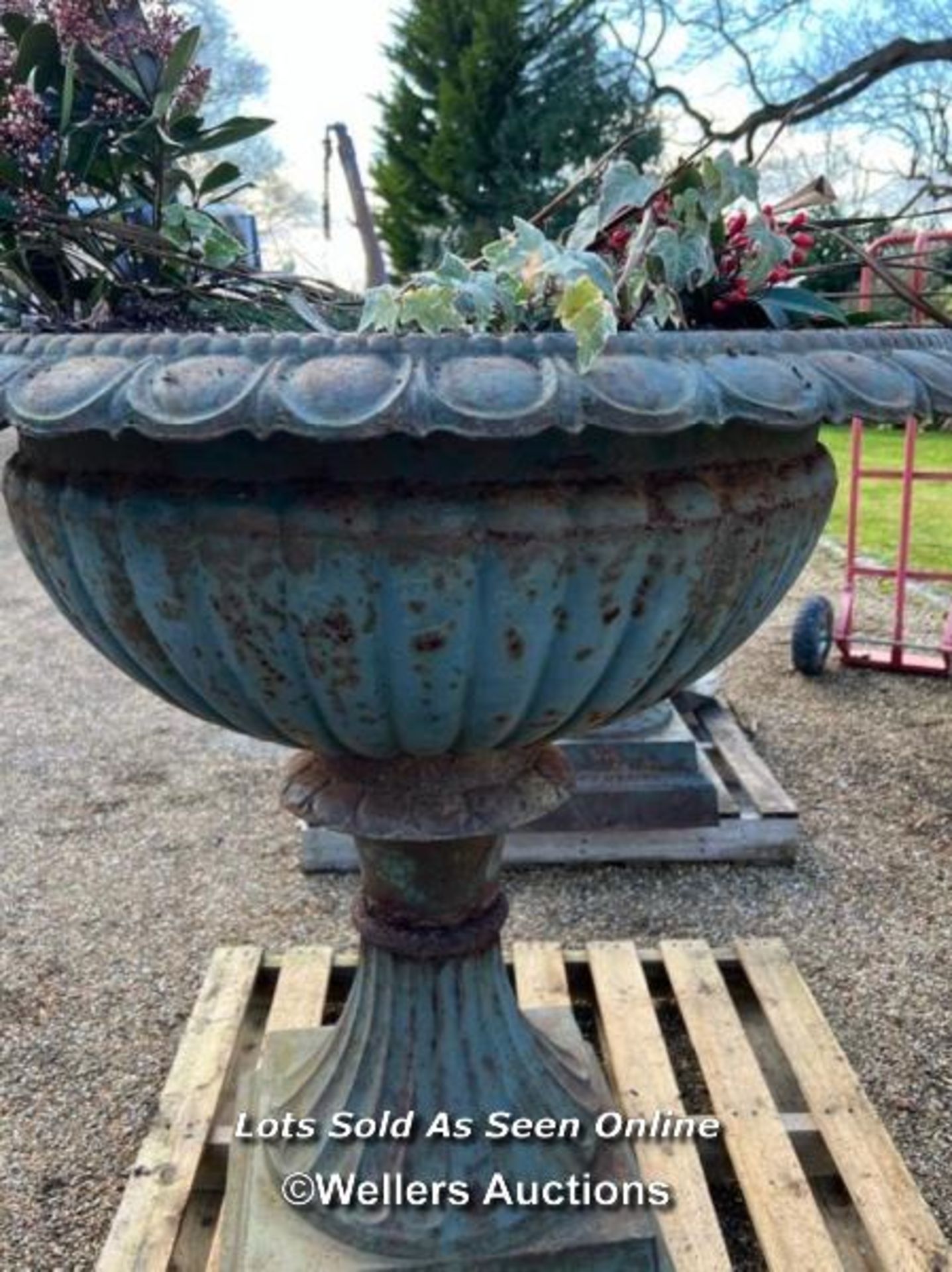 PAIR OF LARGE VICTORIAN STYLE CAST IRON PLANTERS, WITH DECORATIVE ROLL TOP EDGING, ON PLINTH, - Image 2 of 5