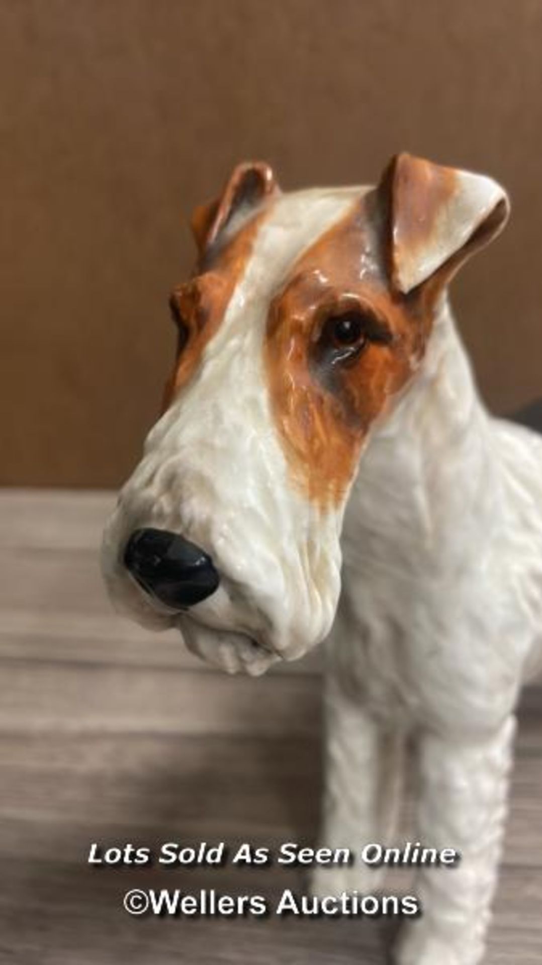 ROYAL DOULTON AIREDALE TERRIER HN1007 CRACKLEY STARTLER - Image 3 of 8