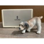 LLADRO "LITTLE HUNTER" NO. 06212, BOXED