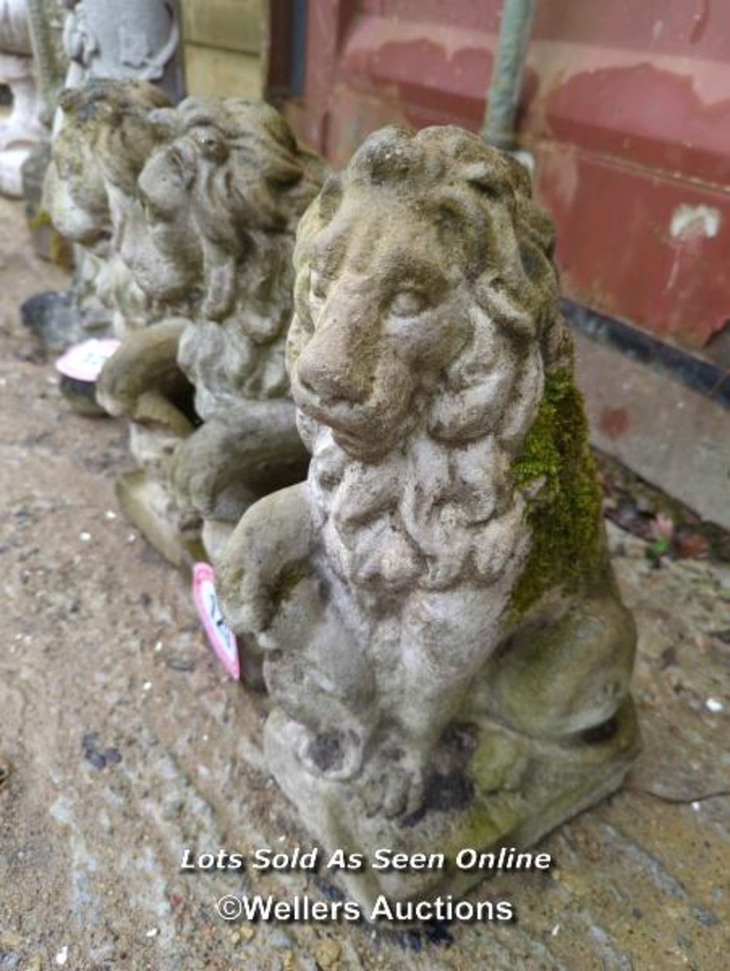 *THREE SITTING LIONS STATUES, 18 INCHES HIGH / ALL LOTS ARE LOCATED AT AUTHENTIC RECLAMATION TN5 - Image 2 of 2
