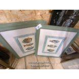 *FOUR FRAMED AND GLAZED FISH RELATED PRINTS / ALL LOTS ARE LOCATED AT AUTHENTIC RECLAMATION TN5 7EF