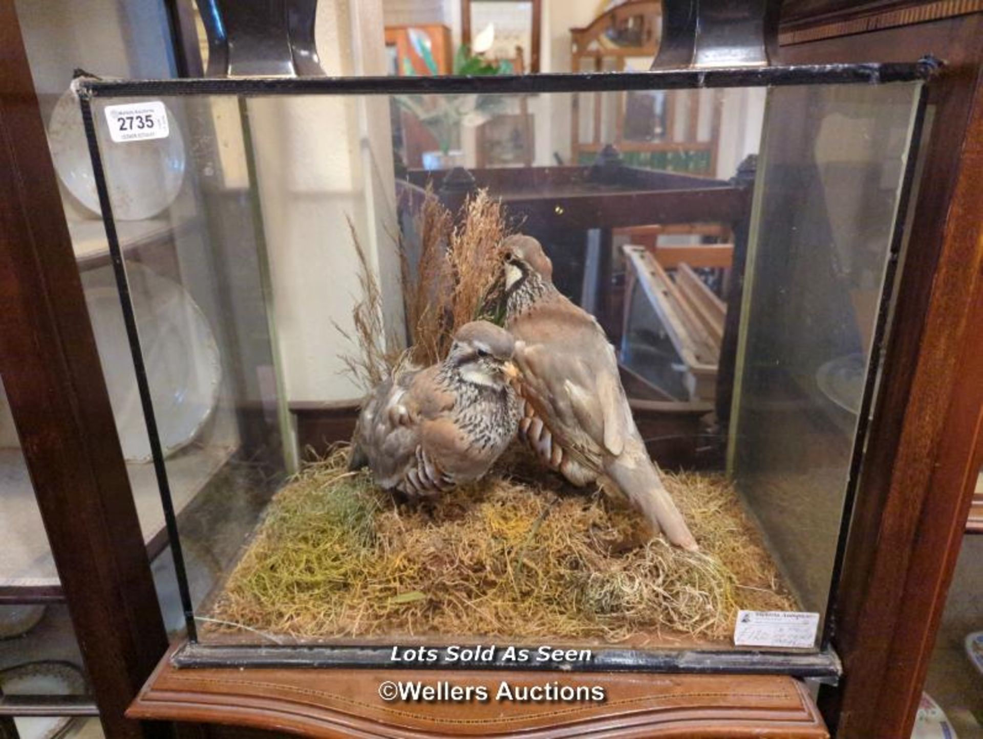 *TWO CASED TAXIDERMY RED LEGGED PARTRIDGES, 43.5 X 51 X 27CM / LOCATED AT VICTORIA ANTIQUES,