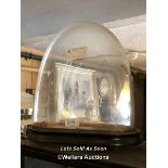 *GLASS DOME ON OVAL BASE, 35CM HIGH, 31.1CM X 14.5CM / LOCATED AT VICTORIA ANTIQUES, WADEBRIDGE,