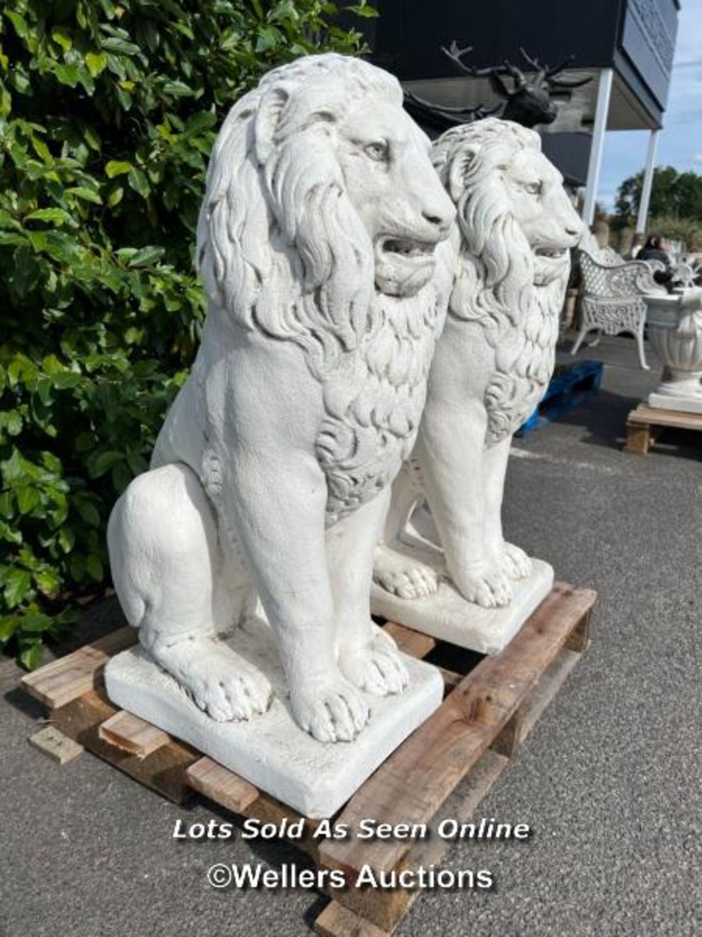 *PAIR OF SITTING LIONS IN CAST STONE AND WHITE CRUSHED MARBLE, EACH IS 80CM (H), 49CM X 30CM AT - Image 3 of 5