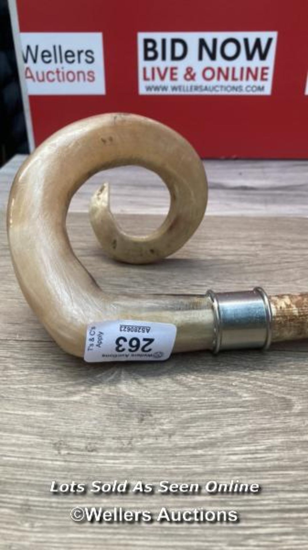 * TRADITIONAL CURLY RAMS HORN SHEPHERDS CROOK, CHUNKY HAZEL SHANK, HANDMADE, - Image 2 of 4