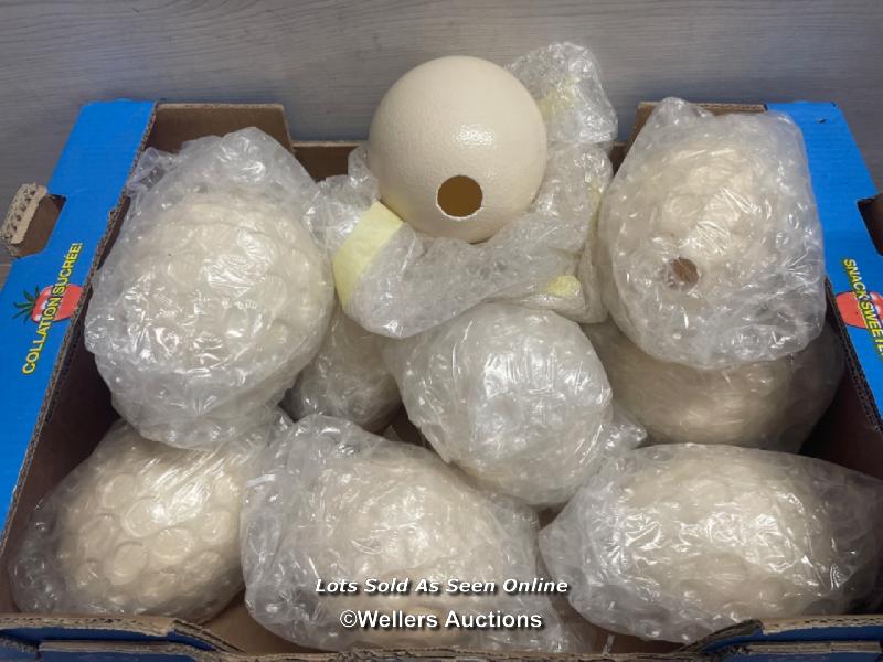 *ELEVEN GENUINE BLOWN OSTRICH EGGS ALL IN GOOD CONDITION