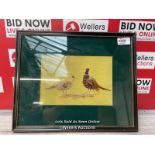 *FEATHER ARTISTRY HUNTING DINAS BRAN CRAFTS TAXIDERMY PHEASANTS REAL