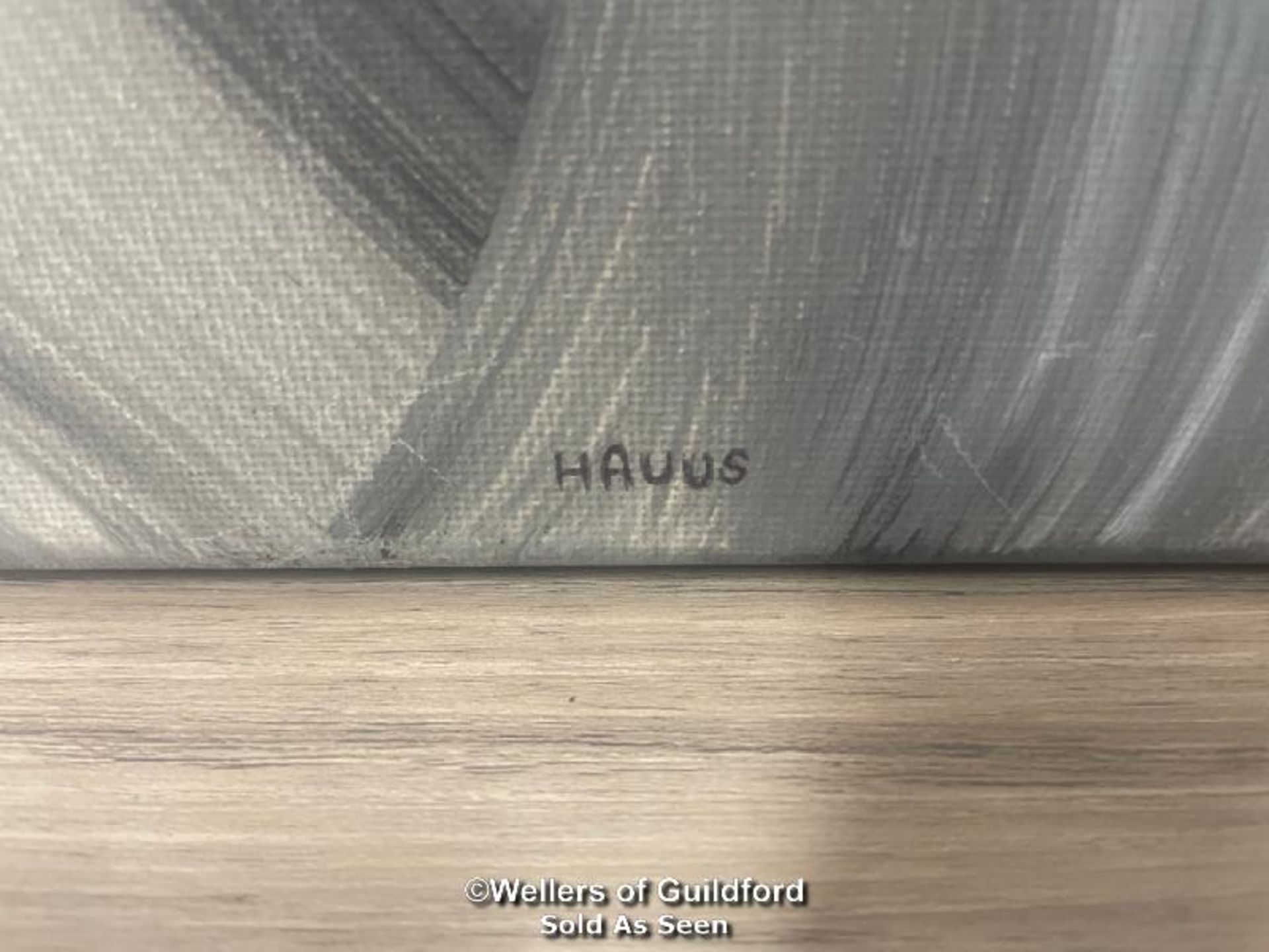 TWO ABSTRACT PAINTINGS, ACRYLIC ON CANVAS SIGNED "HAUUS", 50 X 39.5CM - Image 3 of 5