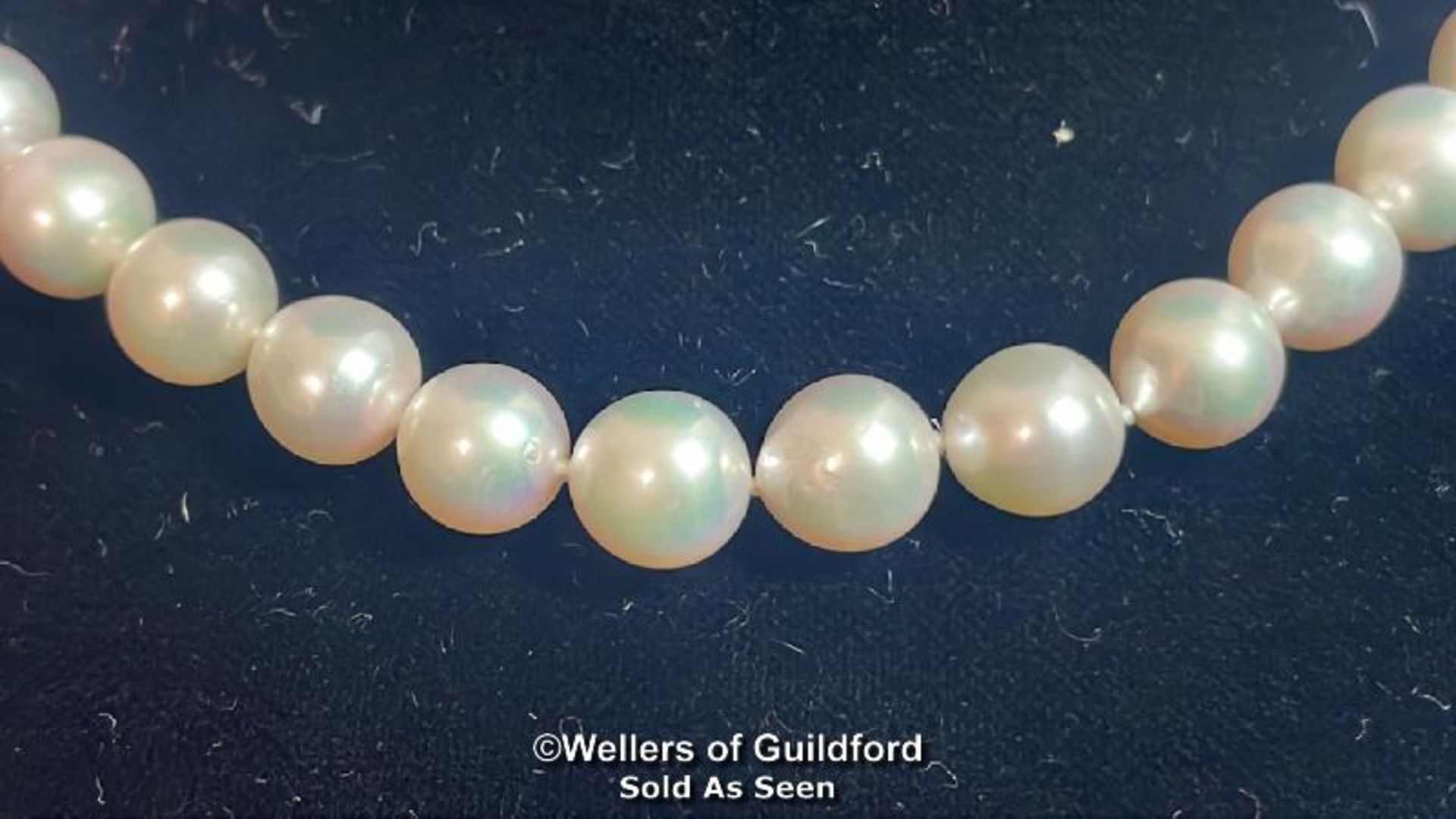 A SINGLE ROW OF CULTURED AKOYA PEARLS STRUNG KNOTTED TO A BARREL CLASP.PEARLS APPROX 8MM DIAMETER, - Image 2 of 4