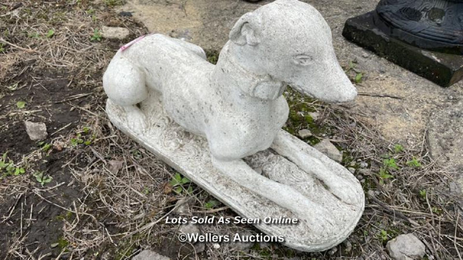 *RECUMBANT GREYHOUND, 70CM (L) X 40CM (H) / COLLECTION LOCATION: ALBOURNE (BN6), FULL ADDRESS AND - Image 3 of 3