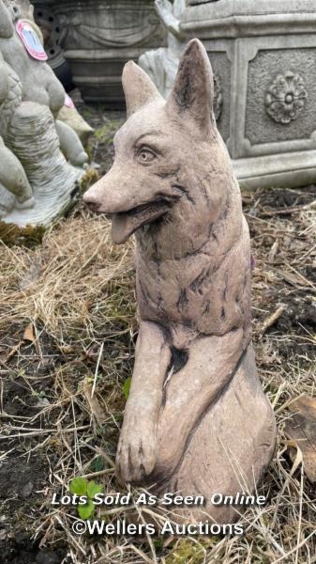 *RELAXING BORDER COLLIE, 47CM (L) X 33CM (H) / COLLECTION LOCATION: ALBOURNE (BN6), FULL ADDRESS AND - Image 3 of 3