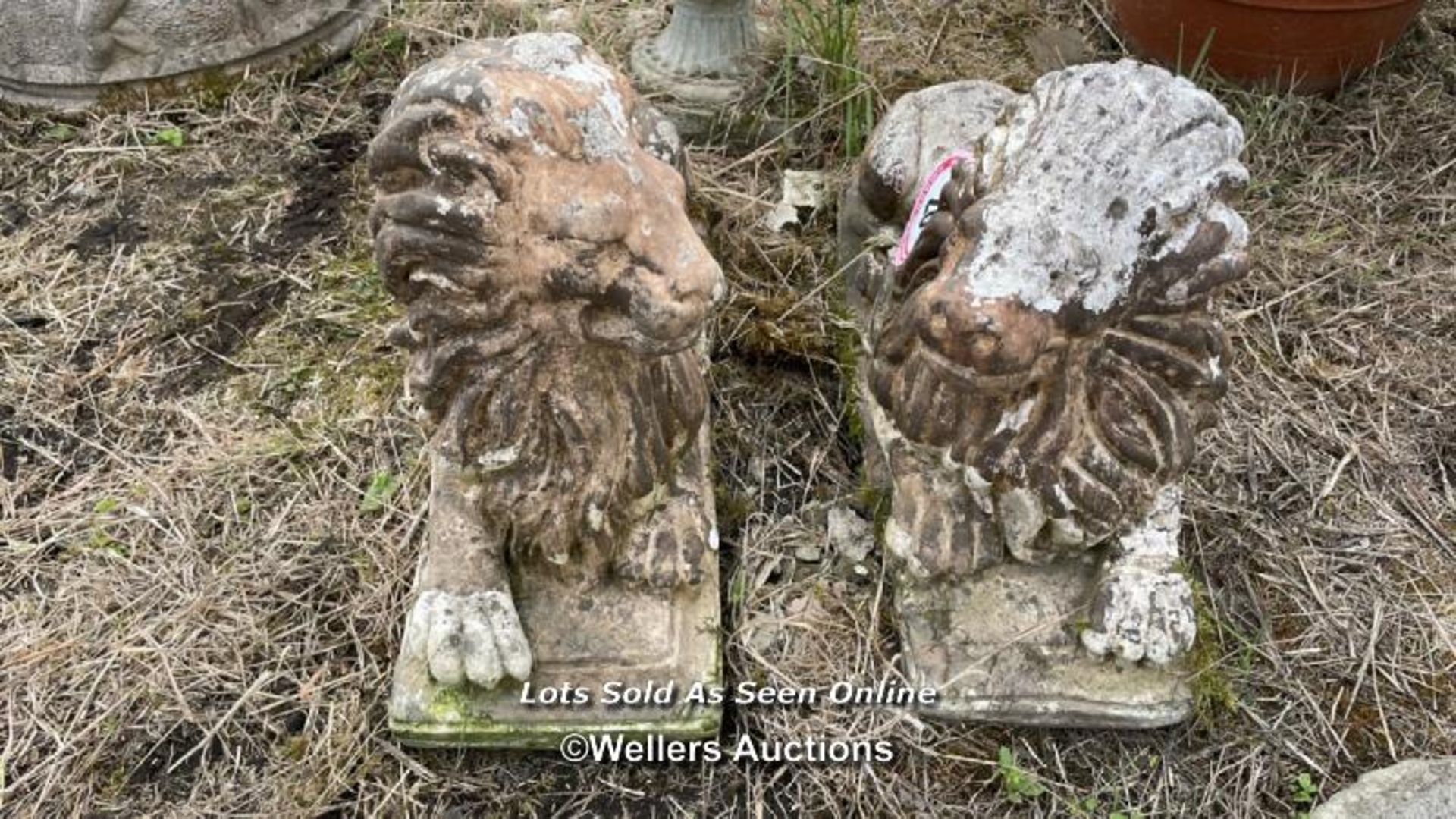 *PAIR OF RECONSTITUTED STONE RECUMBANT LIONS, 36CM (H) X 55CM (L) / COLLECTION LOCATION: ALBOURNE ( - Image 2 of 4