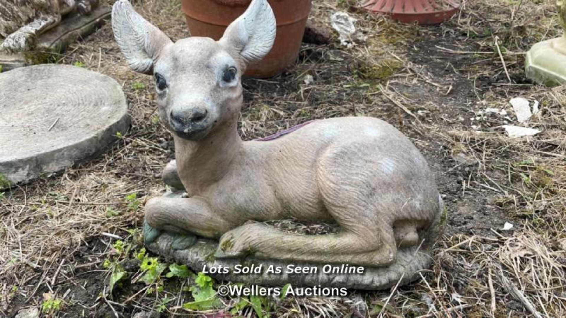 *YOUNG DEER, 30CM (H) X 40CM (L) / COLLECTION LOCATION: ALBOURNE (BN6), FULL ADDRESS AND CONTACT