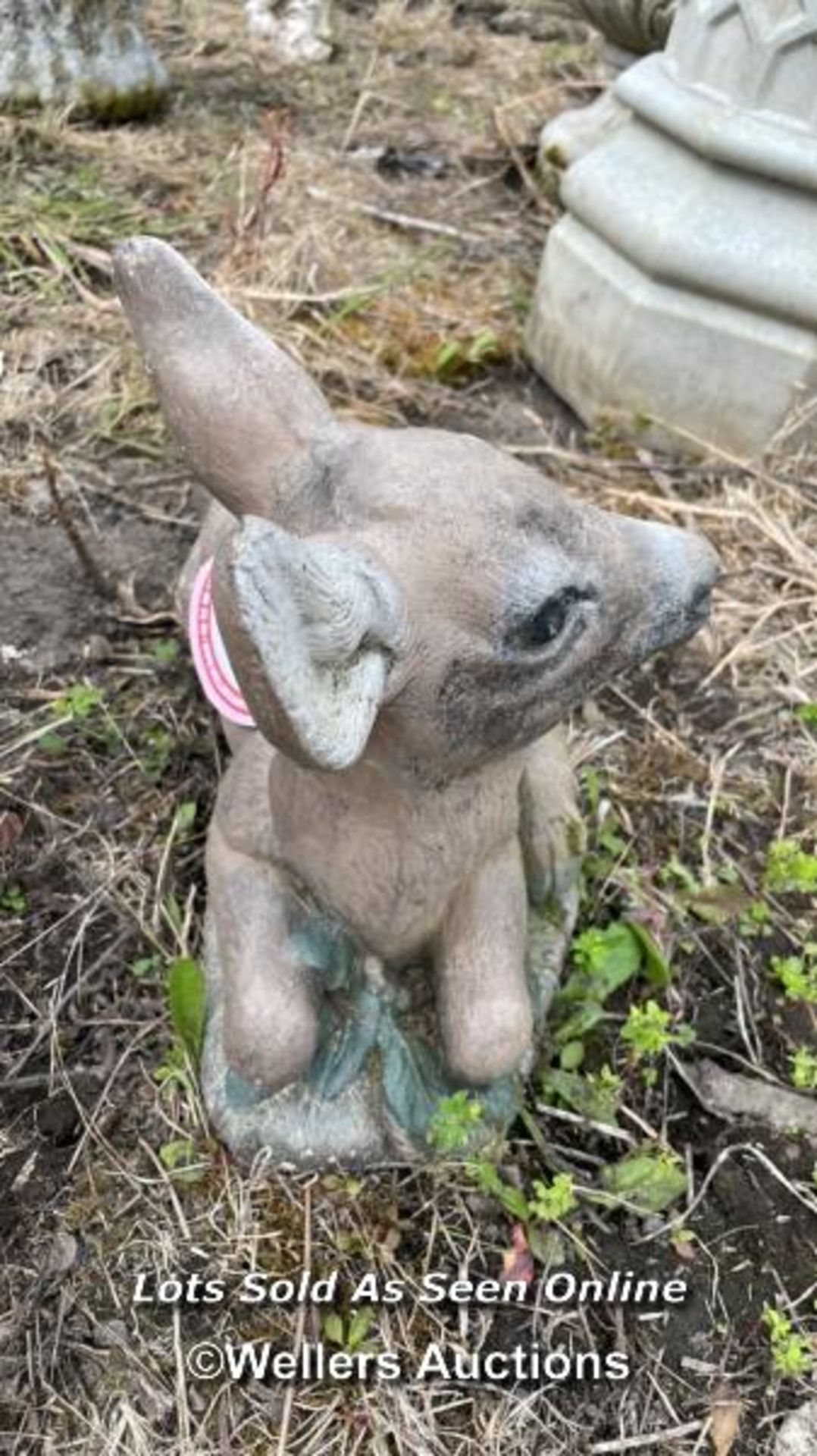 *YOUNG DEER, 30CM (H) X 40CM (L) / COLLECTION LOCATION: ALBOURNE (BN6), FULL ADDRESS AND CONTACT - Image 3 of 3