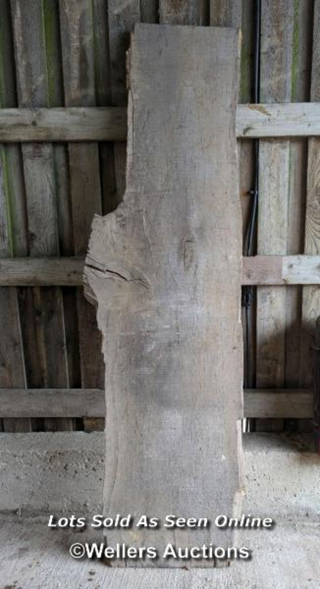 Large oak slab cut down in 1987. 240cm x 48cm x 68cm W x 5.5cm to 6.5cm thick. - Image 2 of 5