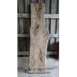 Large oak slab cut down in 1987. 240cm x 48cm x 68cm W x 5.5cm to 6.5cm thick.