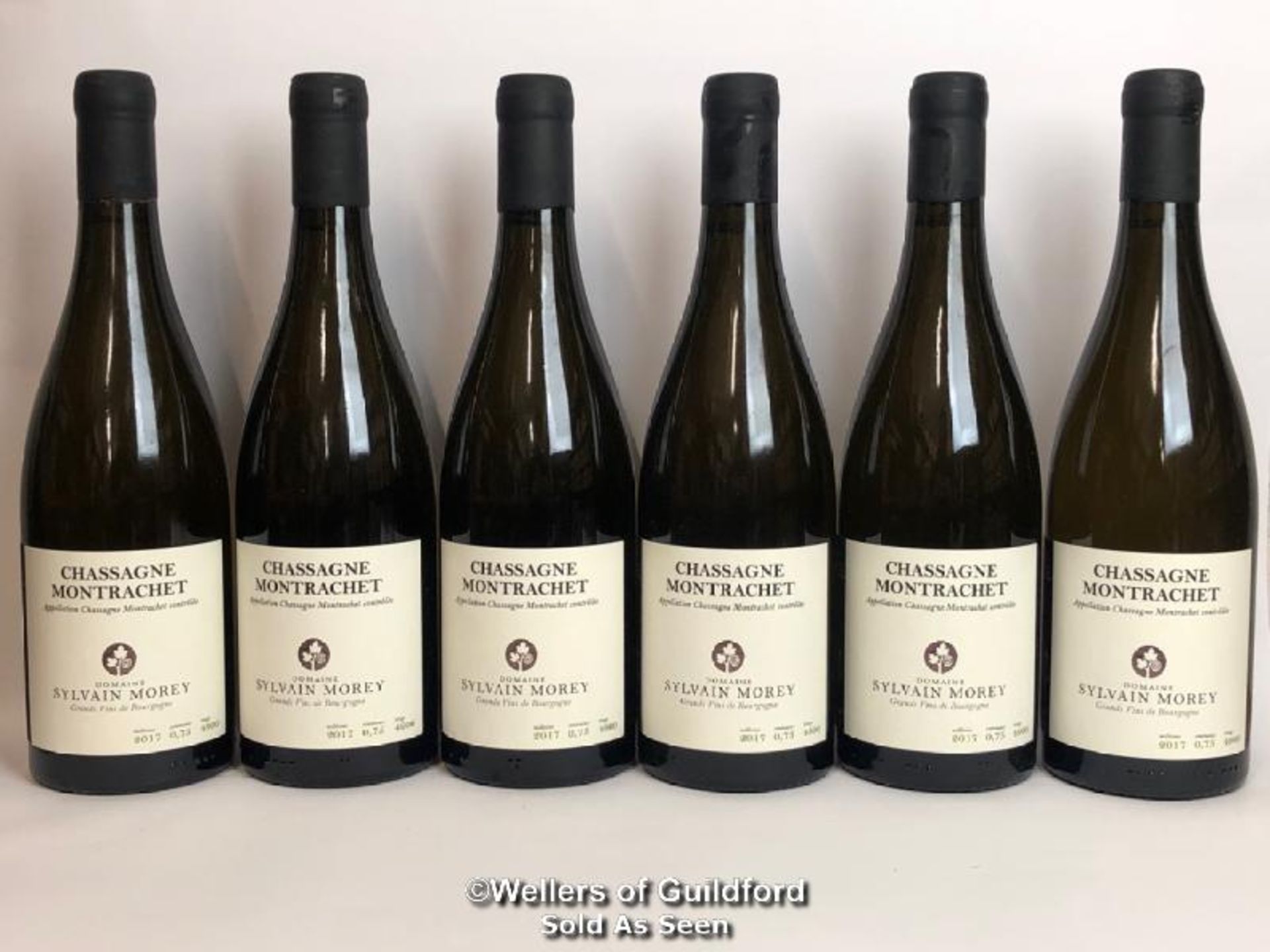 SIX BOTTLES OF CHASSAGNE MONTRACHET VILLAGE BLANC, SYLVAIN MOREY, BURGUNDY, 75CL, 13% VOL / THIS LOT