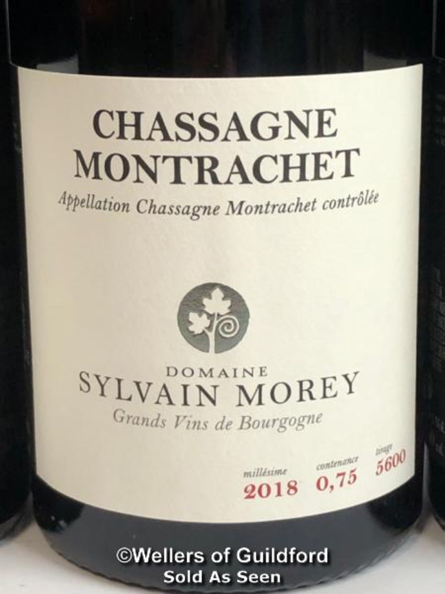 SIX BOTTLES OF 2018 CHASSAGNE MONTRACHET VILLAGES ROUGE, SYLVAIN MOREY, BURGUNDY, 75CL, 13% VOL / - Image 2 of 3