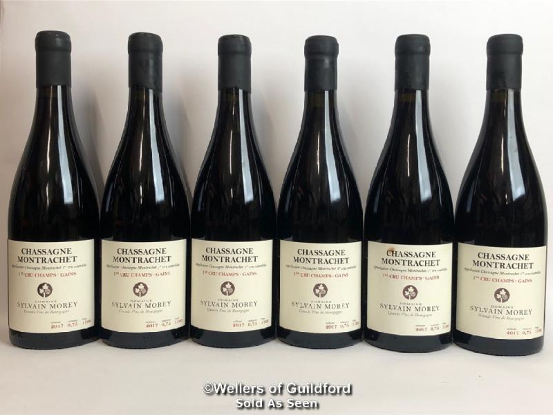 SIX BOTTLES OF CHASSAGNE MONTRACHET 1ER CRU CHAMPS - GAINS, SYLVAIN MOREY, RED, BURGUNDY, 75CL,