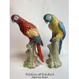 Two porcelain parrots by Sitzendorf in good cosmetic condition, tallest 24cm high