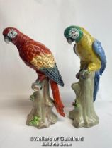 Two porcelain parrots by Sitzendorf in good cosmetic condition, tallest 24cm high