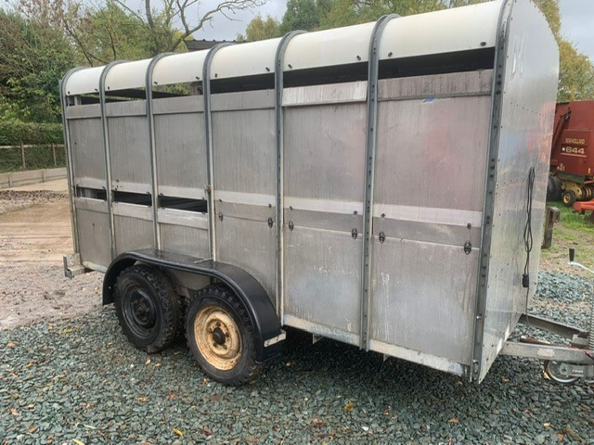 IFOR WILLIAMS 12X5 TWIN AXLE LIVESTOCK - Image 4 of 6