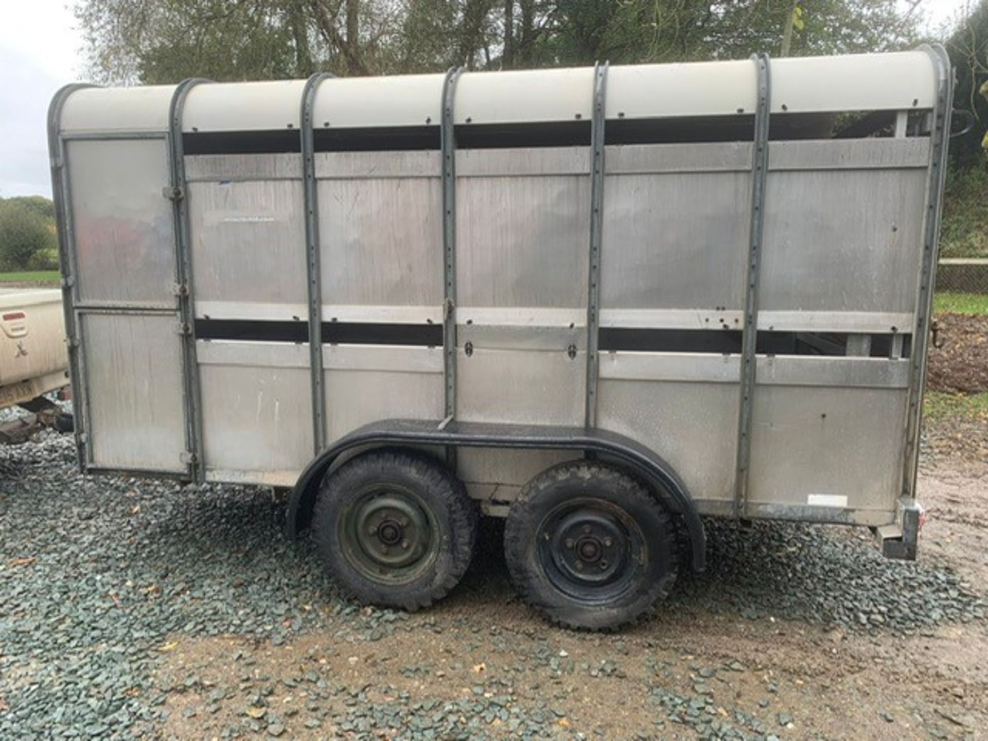 IFOR WILLIAMS 12X5 TWIN AXLE LIVESTOCK