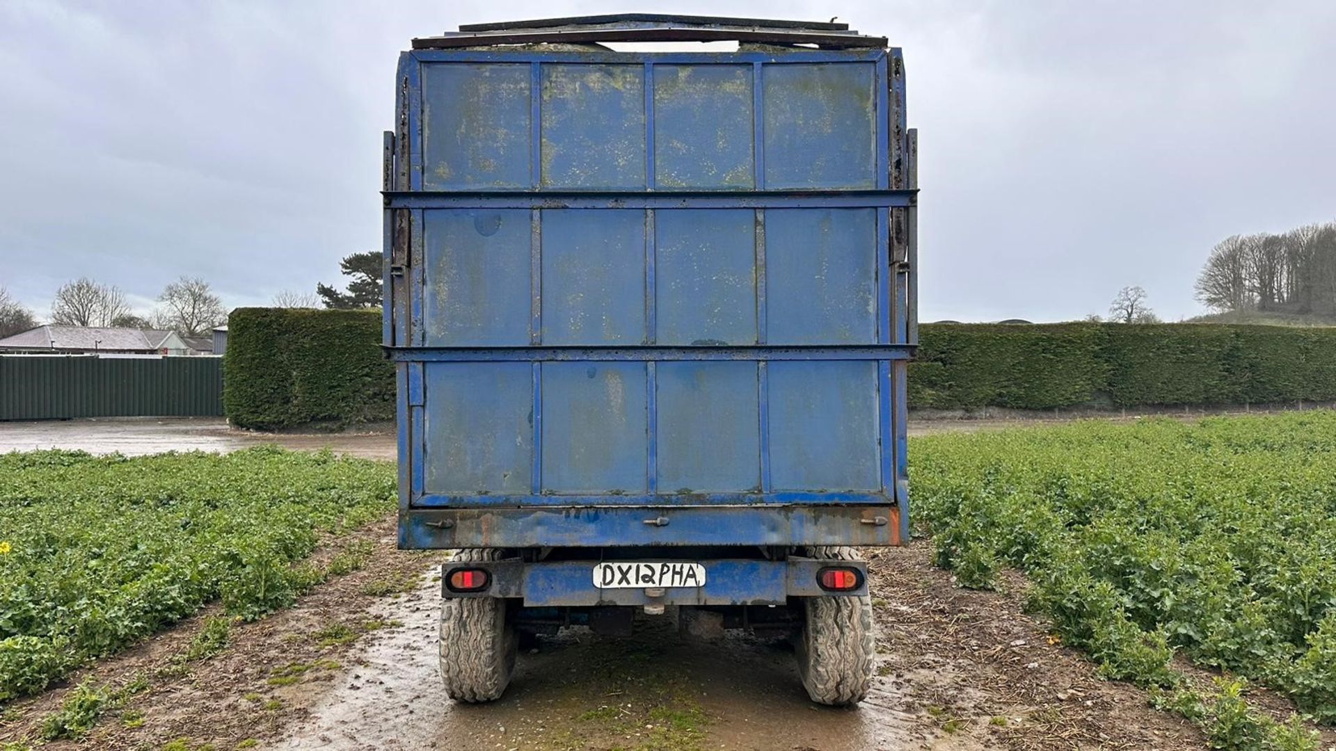 8 TON SILAGE TRAILER - Image 5 of 11