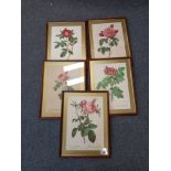 COLLECTION OF FRAMED PRINTS OF ROSES