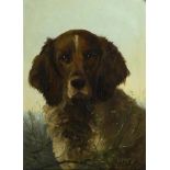 DEIKER, Carl Friedrich (1836 Wetzlar - 1892 Düsseldorf). Bildnis eines Jagdhundes.