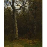 OEDER, Georg (1846 Aachen – 1931 Düsseldorf). Waldlandschaft.