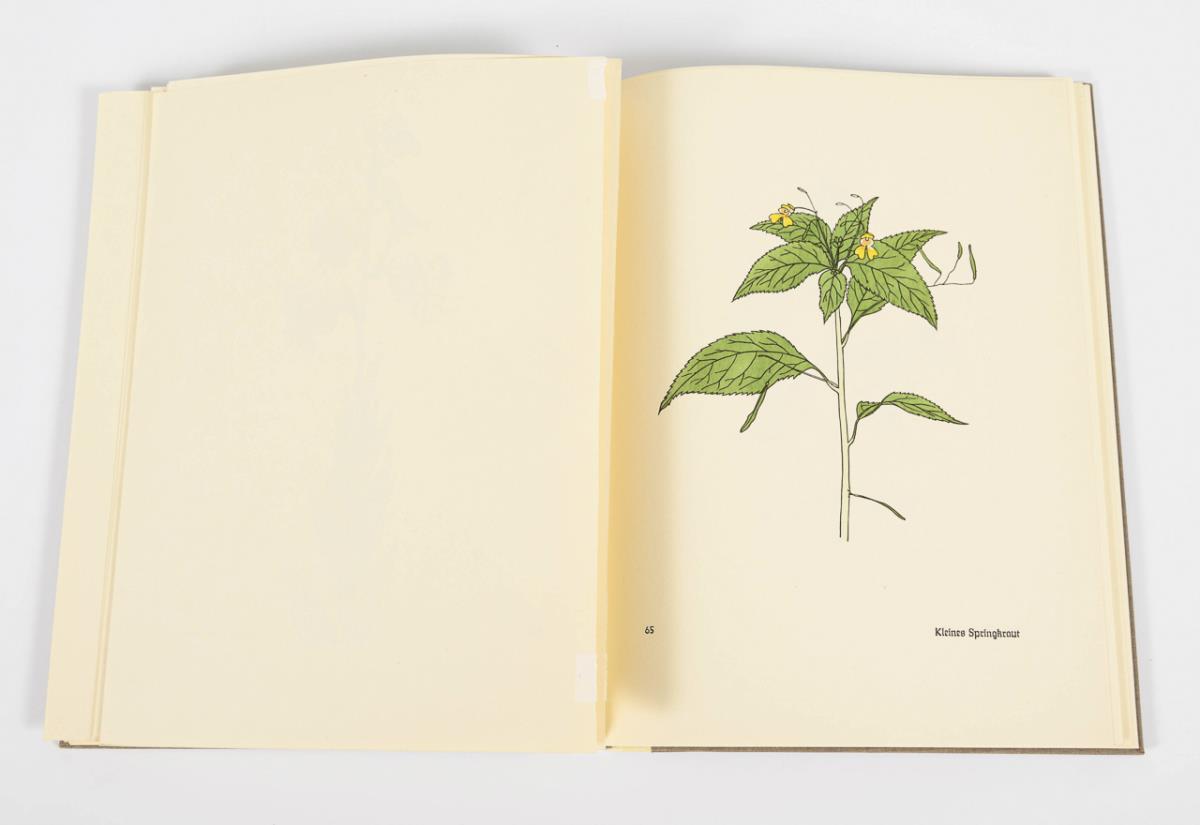 KOCH, Rudolf. "Das Blumenbuch". - Image 3 of 4