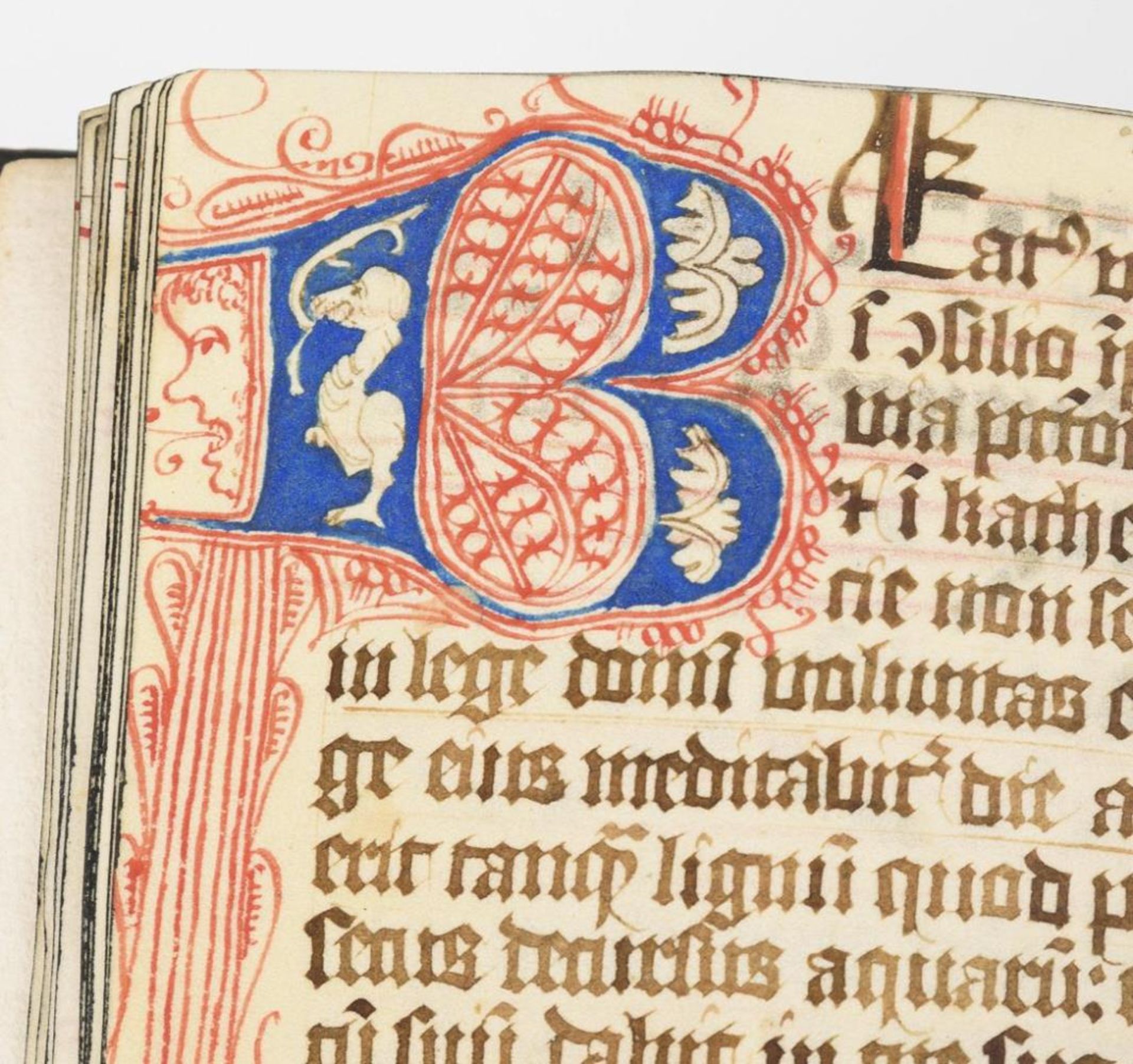 Mittelalterliche Handschrift - Brevier. - Image 24 of 25
