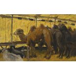 SEEWALD-HARZ, Albert (1870 Nordhausen - 1923 Borna). Kamele.