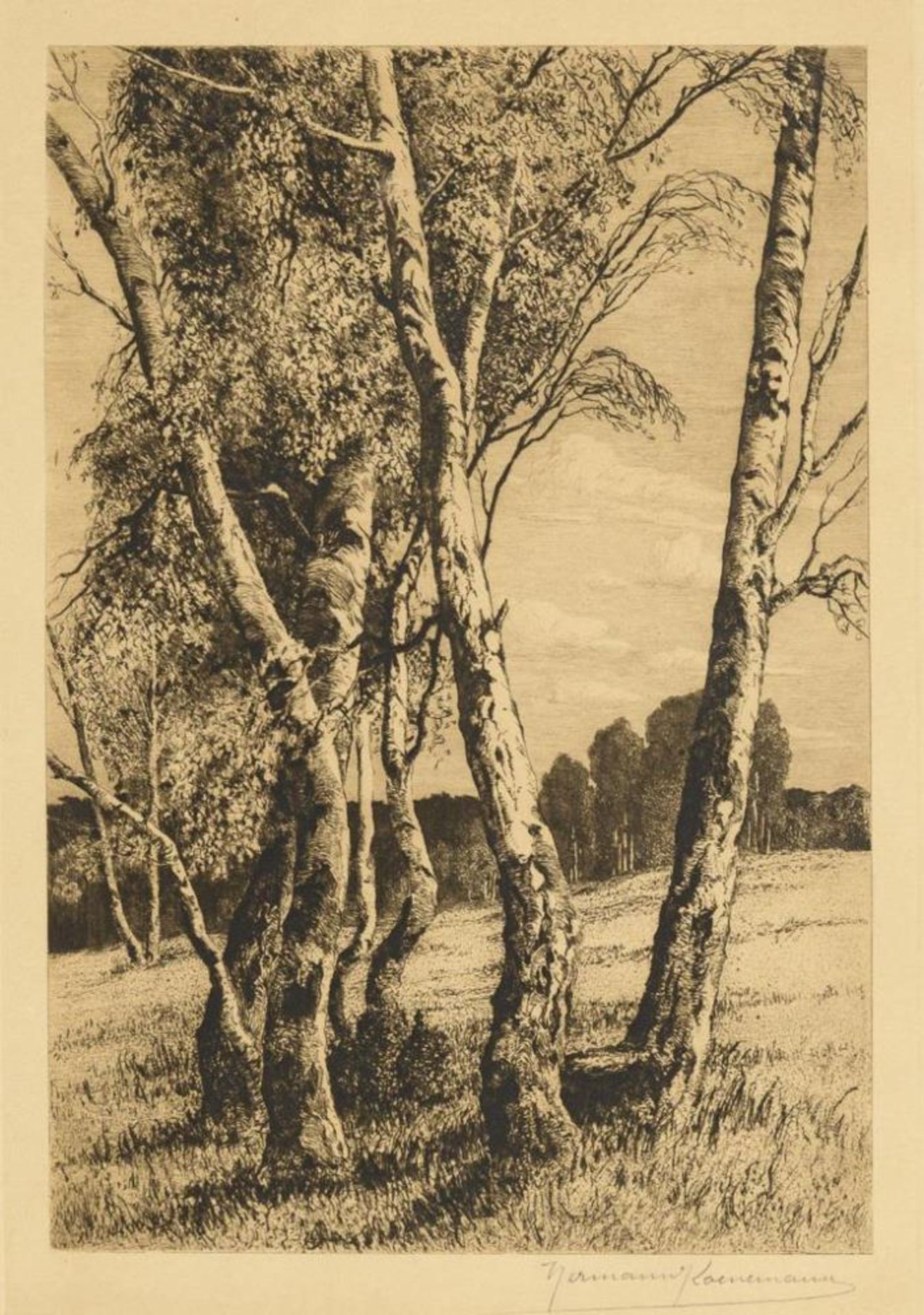 KOENEMANN, Hermann (1871 Bonn - 1934 Wiesbaden). Landschaft mit Birken.