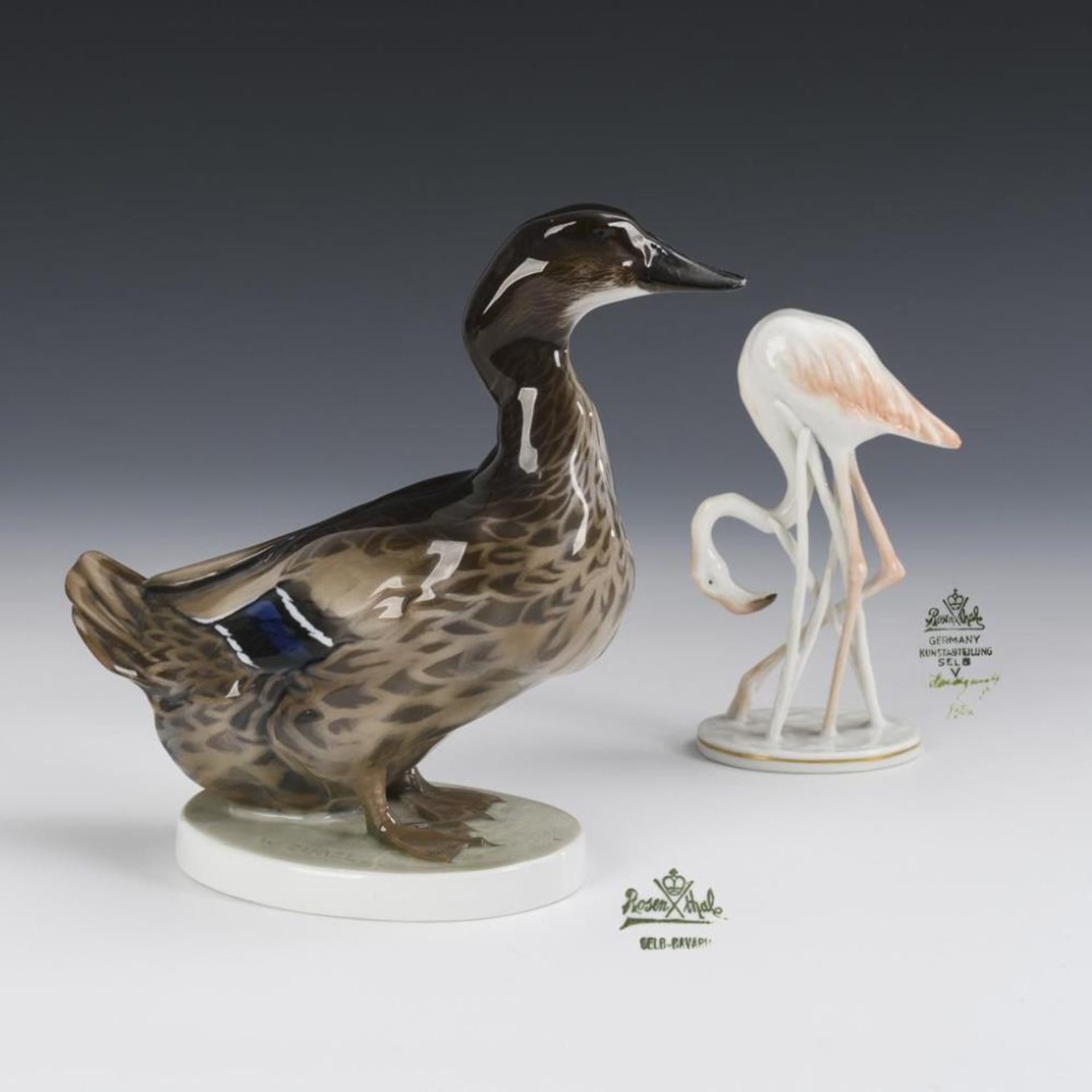 Wildente und Flamingo.  Rosenthal.