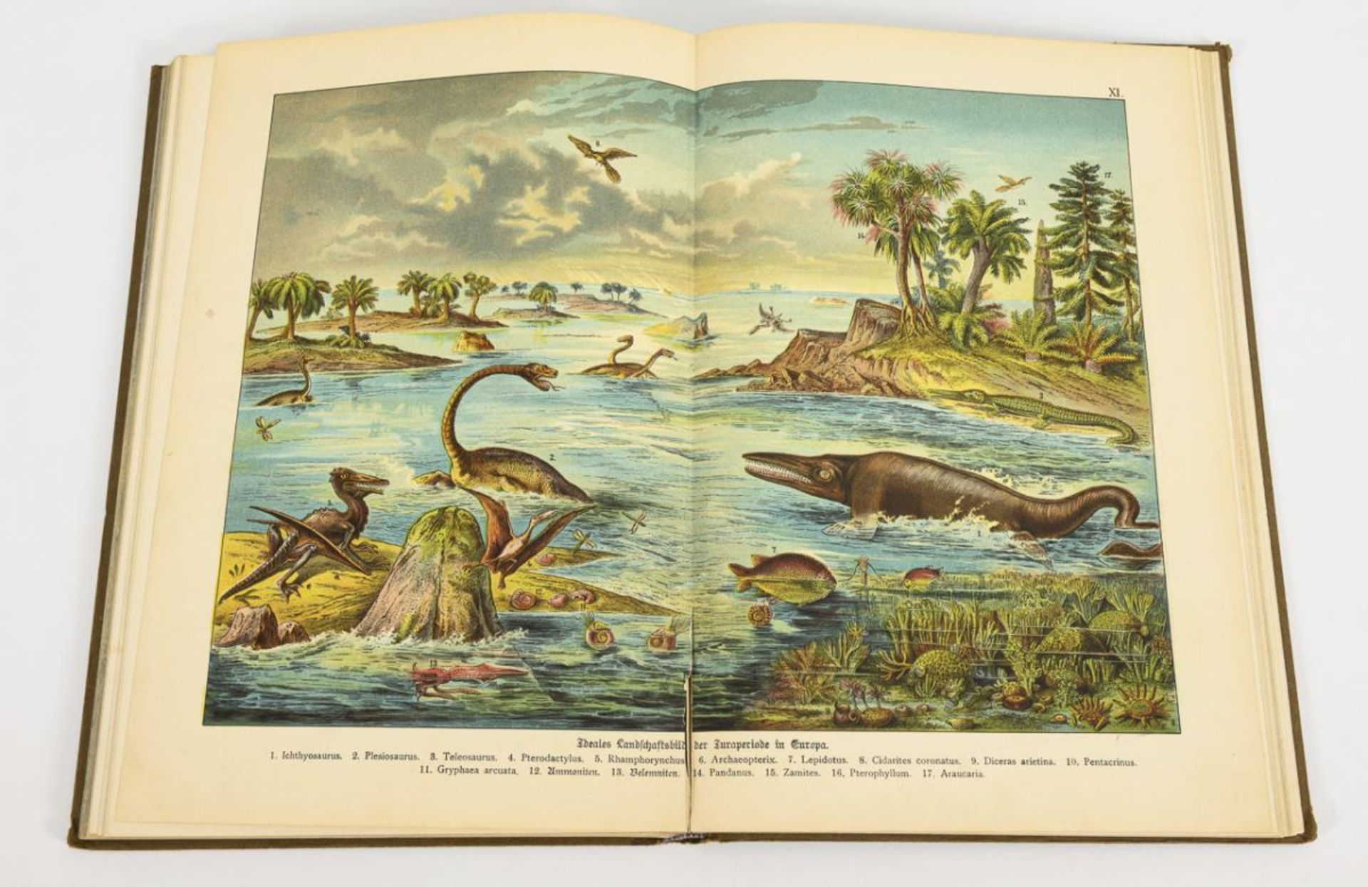 SCHUBERT, G.H. von. "Naturgeschichte Geologie, Mineralreich, Paläontologie". - Image 2 of 4